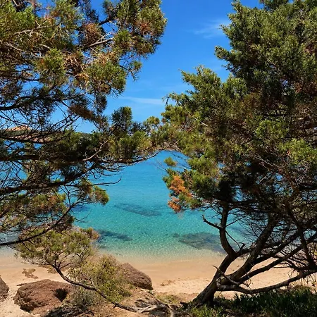 Apartment Le Rose Marine *